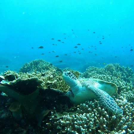 4 Sisters Divers Bunaken Zewnętrze zdjęcie