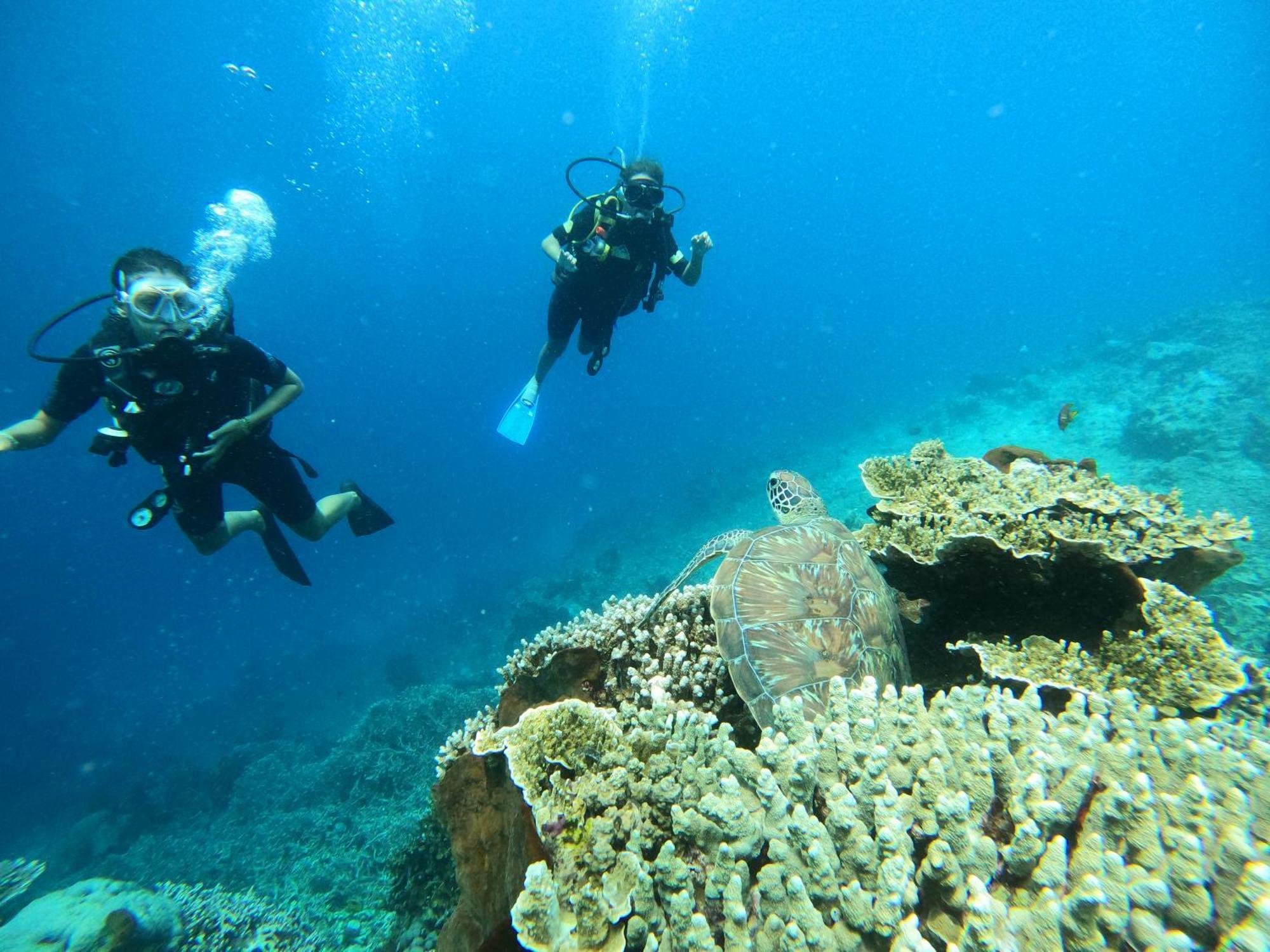 4 Sisters Divers Bunaken Zewnętrze zdjęcie