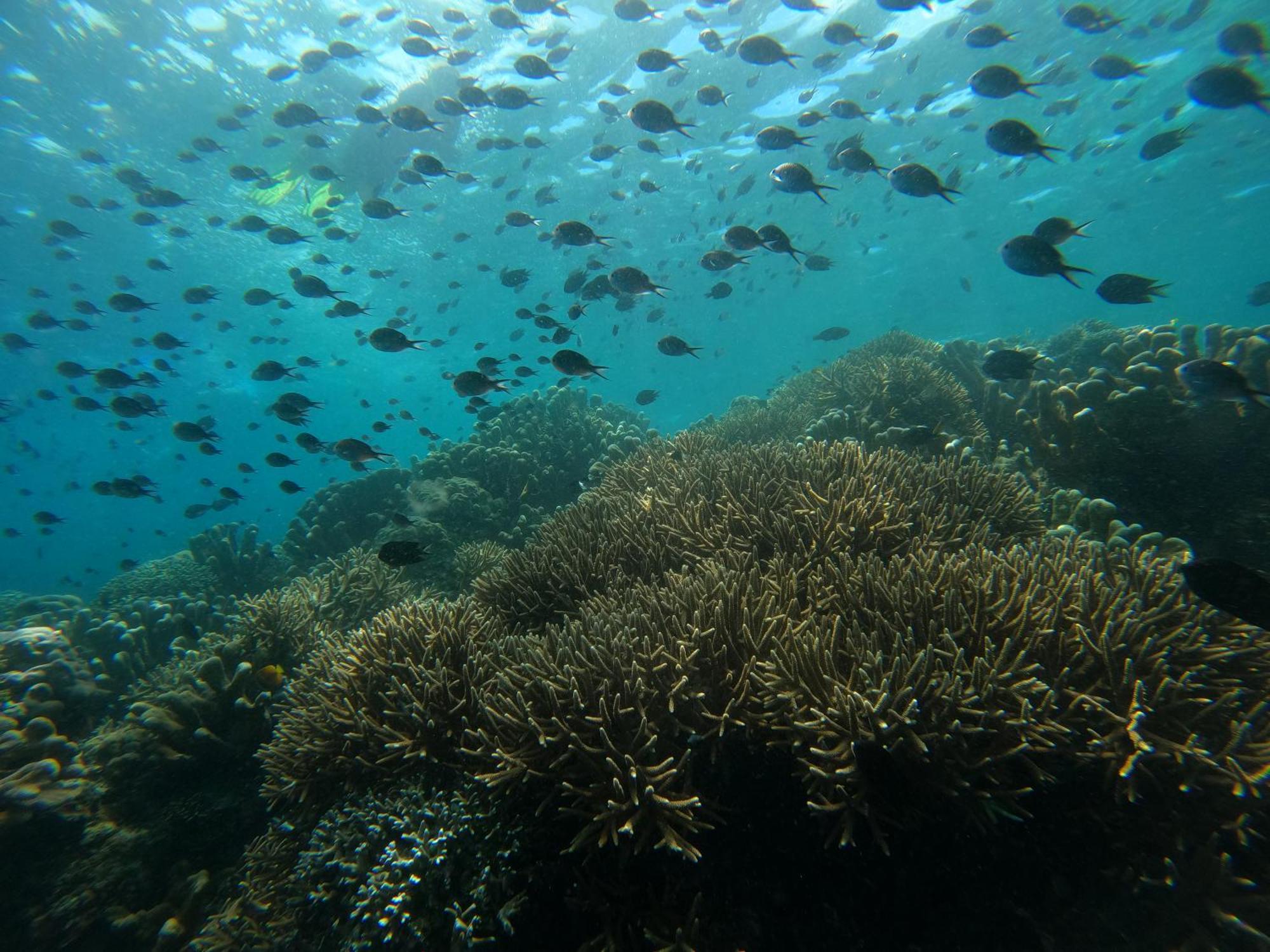 4 Sisters Divers Bunaken Zewnętrze zdjęcie