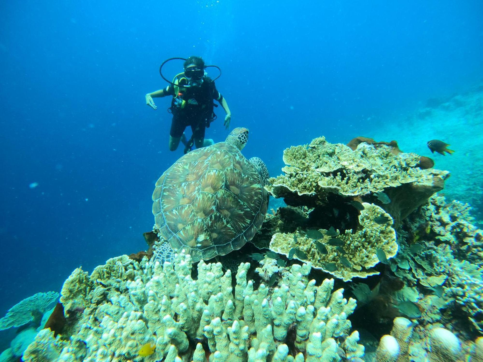 4 Sisters Divers Bunaken Zewnętrze zdjęcie