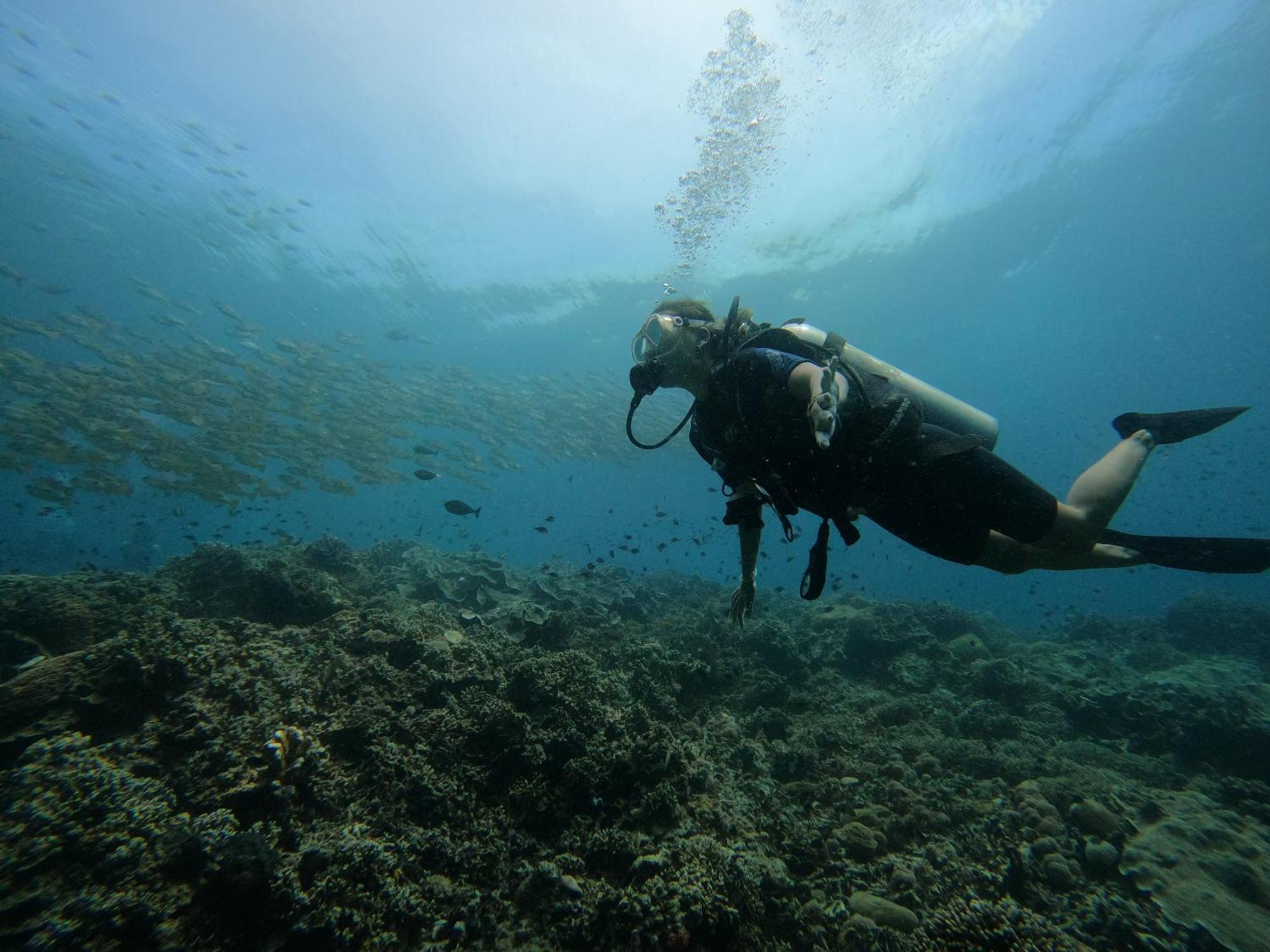 4 Sisters Divers Bunaken Zewnętrze zdjęcie