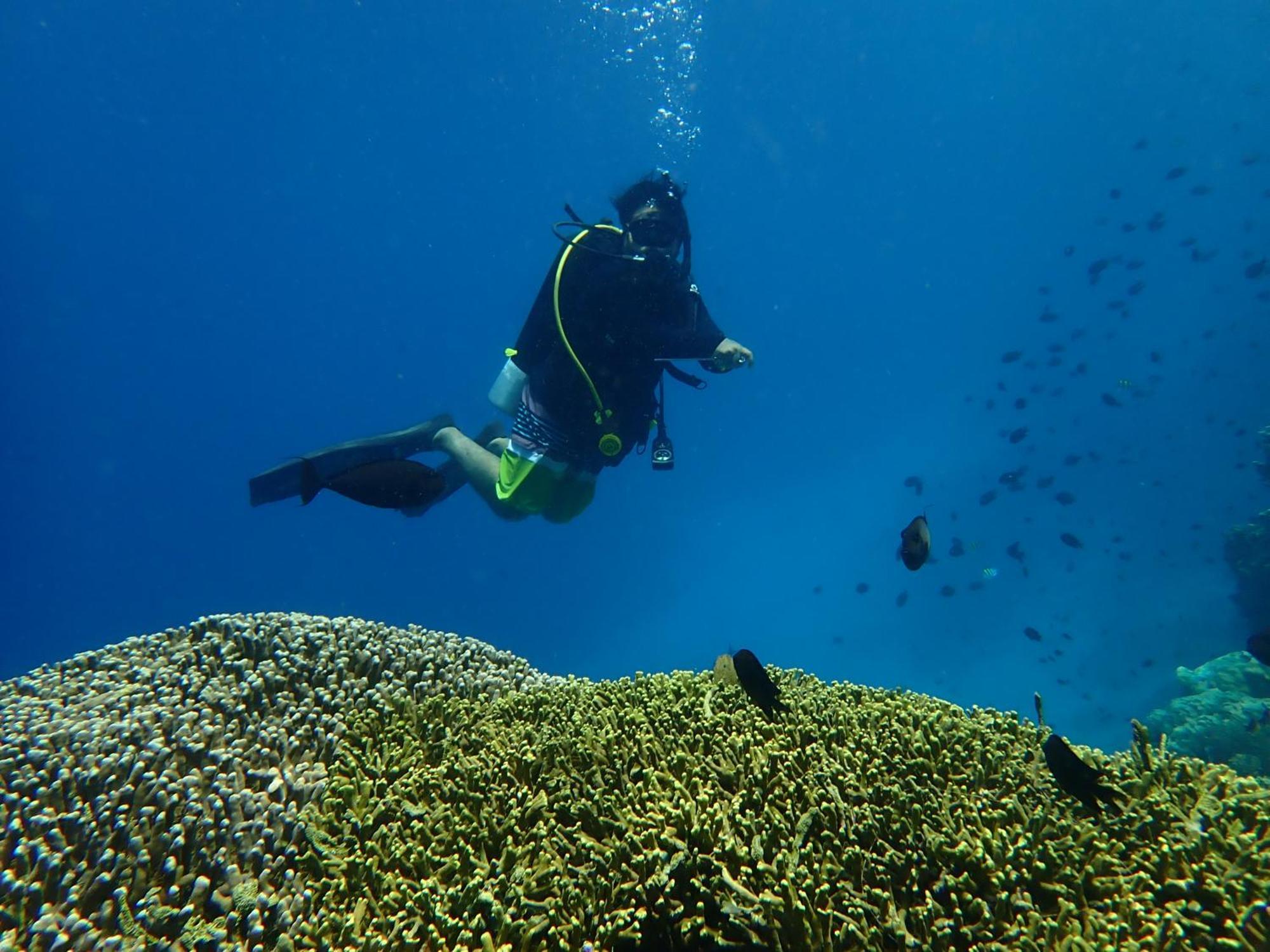 4 Sisters Divers Bunaken Zewnętrze zdjęcie